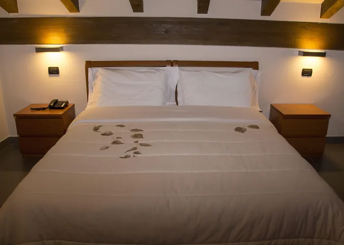 Hotel Parini